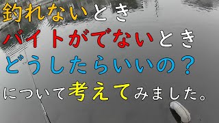 釣れないとき、バイトがでないとき、どうしたらいいの？について考えてみました。