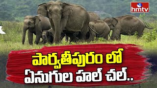 Elephants Hulchal in Parvathipuram :పార్వతీపురం లో ఏనుగుల హల్ చల్.. అప్రమత్తం చేసిన అధికారులు| hmtv