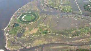 魚の目玉は野鳥の聖地　木更津フィッシュアイ