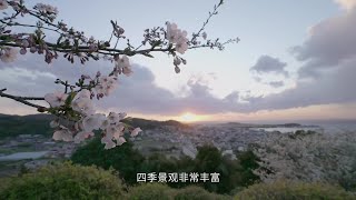 OneTV -【亞太娛樂坊：潛意識-東京篇3】