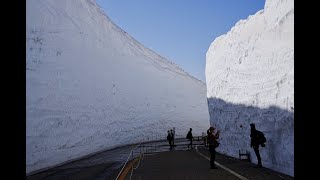 【立山黒部アルペンルート】　雪の大谷オンラインツアー tateyama kurobe alpine route/Snow wall Japan  360 VR 4K