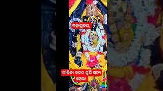 #viralvideo#ମାଳିକା#ମାଡ଼ି ଆସିବ ମହାପ୍ରଳୟ, ମାଳିକା ବଚନ ସତ ହେବ