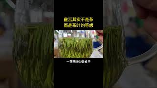 其實雀舌不是茶，而是茶葉的壹個等級！愛喝茶的關註我wechat：zj4867# 茶知識 # 召喚茶友 # 茶文化 # 綠茶 # 雀舌