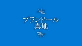 プランドール真地 2階201