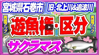 【サクラマス】遊漁権について→追波川＆北上川の範囲の説明動画【再アップ】