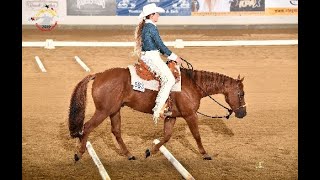 German Open - JUPF Ausbildungsskala