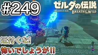 【#249】ムオ・ジームの祠、攻略! ガーディアン戦‼︎ 中編[ゼルダの伝説 ブレスオブザワイルド]