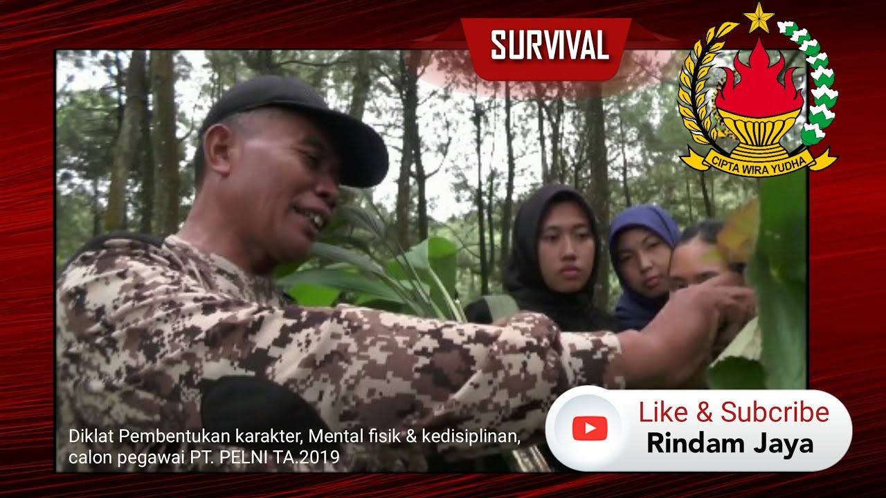 HARUS HIDUP | BASIC SURVIVAL - YouTube