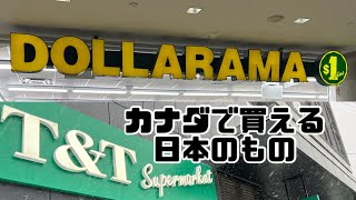 【カナダvlog】カナダで買える日本のものや生活用品！ウーバーウォーカーをやりながら紹介🏃‍♂️