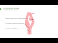 consequences of atherosclerosis atheroma u0026 diseases – vascular medicine lecturio