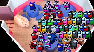 🐹 Escape Maze With Traps Hamster Among Us Pets 🐹 in Hamster Stories