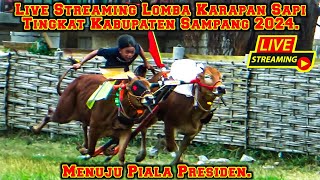 Live Streaming Lomba Karapan Sapi Pemilihan Kabupaten Sampang 2024 Di Lap Priok Ketapang Sampang.