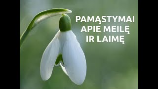 Pamąstymai apie meilę ir laimę