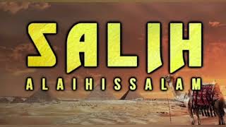 ஸாலிஹ் நபியின் வரலாறு|Story of prophet Salih alaihissalam| # ilmul islam pengal bayan I #tamil bayan