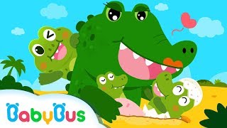 Crocodile River Surprise | Baby Care | Nursery Rhymes | Toddler Songs | Animal Song | BabyBus