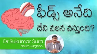 H9 | ఫీడ్స్ అనేది దేని వలన వస్తుంది? | Dr.Sukumar sura | Neuro Surgeon