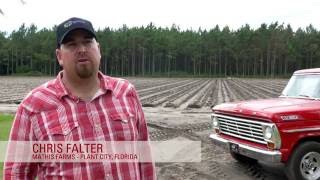 Grandevo® WDG Grower Testimonial, Mathis Farms