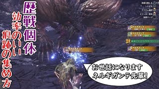 【最高効率？】ネルギガンテを使った歴戦個体の調査レポート集め【PS4】