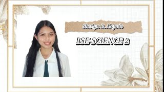Developmental E-portfolio (Assessment of Learning 2)