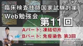 第11回　臨床検査技師 国家試験対策Web勉強会(Bパート)