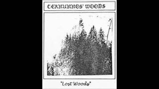 Cernunnos Woods - Lost Woods (1994) (Dungeon Synth)