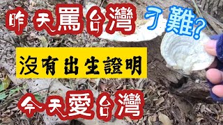 陸配三嫚兒❗沒出生證太難了❗湖南妹轉變更離譜 一夜之間 愛台灣 恨台灣 到底為什麼