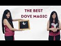 TURNING A PAPER BIRD INTO A REAL ONE!! | DOVE MAGIC | FEMALE MAGICIAN | MAGICIAN ZENIA