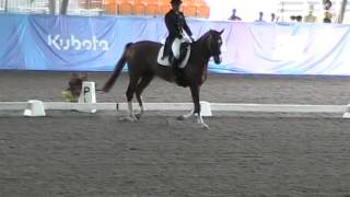 MOV064 Hadiyanto Ferry Wahyu on Douceur INA Team Gold SEAG2015 Team Dressage