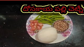 #టేస్టీ దోసకాయ పల్లి చెట్నీ#food #👌👌👌🙏🙏