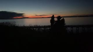 Bellingham Bay - Boulevard Park - Iconic night-time clip +BNSF Train.