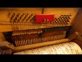 faventia barrel organ no1