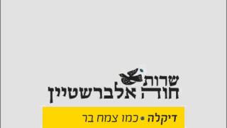 דיקלה - כמו צמח בר