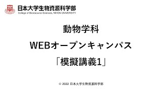 動物学科【模擬講義1】令和4年第1回オープンキャンパス