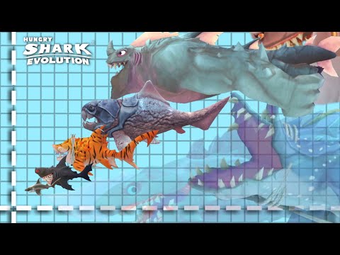 ¡COMPARACIÓN DE TODOS LOS TAMAÑOS DE HUNGRY SHARK EVOLUTION (NUEVO 2022)! ACTUALIZACIÓN DEL GIGANTE