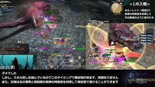 【FF14】アニドラス・アナムネーシス TA 9分45秒【音声解説付き】