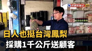 日人也挺台灣鳳梨  採購1千公斤送顧客－民視台語新聞