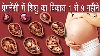 गर्भ में भ्रूण से शिशु बनने का सफर || Fetal Development in Womb hindi || Garbh me bachhey ka banna