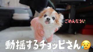 【ショックです！】ついにこんな日が来てしまいました😢