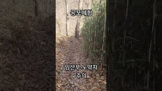 소름돋는 공포체험 임산부 노약자 주의 영상