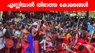 കൊടുങ്ങല്ലൂർ അശ്വതി കാവ് തീണ്ടൽ | Kodungallur Bharani 2024