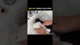 Mẹo tẩy áo trắng ố vàng hiệu quả nhanh chóng #shorts