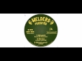 Massive Dub Corporation - Wild World - 12