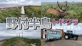 [Trip around Hokkaido] Notsuke Peninsula: I went to Todowara (4th day)