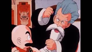 Jackie Chun \u0026 Krillin's Explanation (FUNNY)