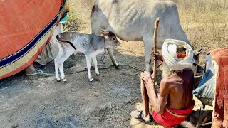 Radhe baba की कुटिया में आई नन्ही बिटिया