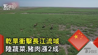 乾旱衝擊長江流域 陸蔬菜.豬肉漲2成｜TVBS新聞