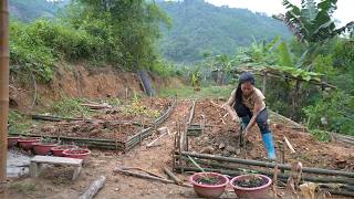 Single mother builds vegetable garden with bamboo: The life of Ly Tieu Ca