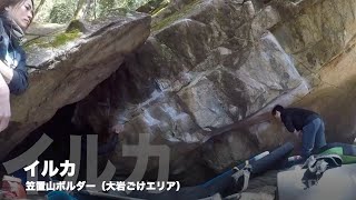 恵那「イルカ（1級）」