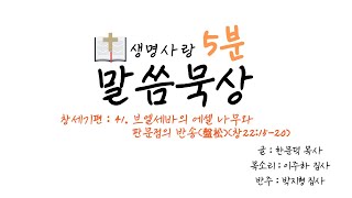 [생명사랑 5분 말씀묵상] 41. 브엘세바의 에셀 나무와 판문점의 반송(盤松)(창21:30-34)