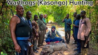 Hunters vs warthhog V16 turbo king Kasongo - Warthog hunting - Hunting Ep59